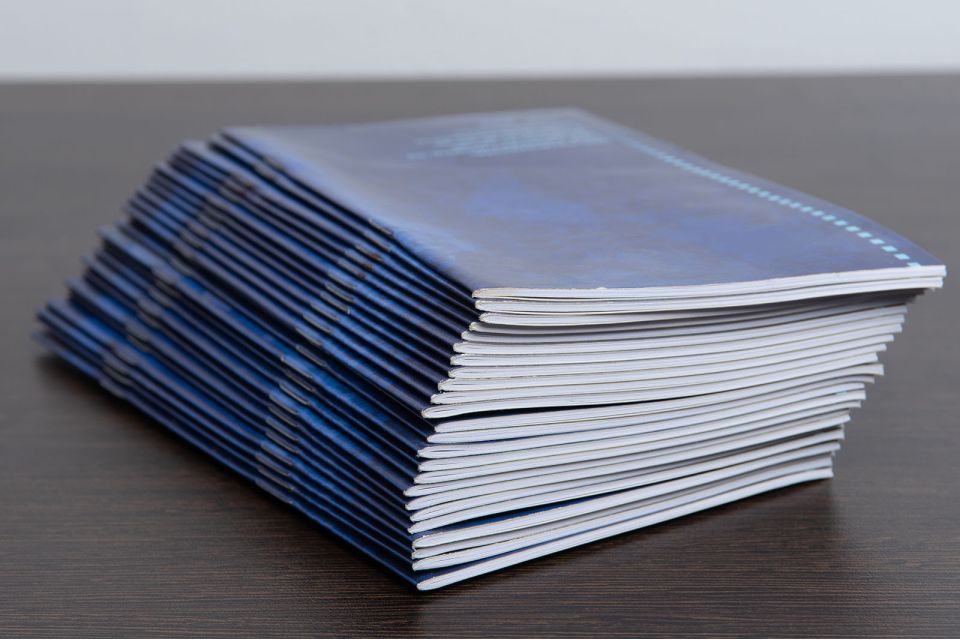 Riviste punto metallico